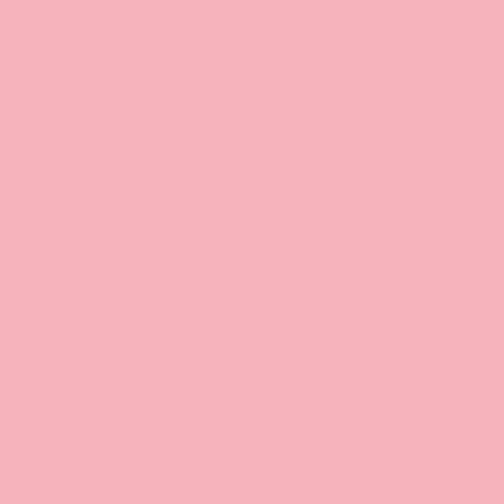BD #117Pastel Pink Background Paper 2.72m x 11m