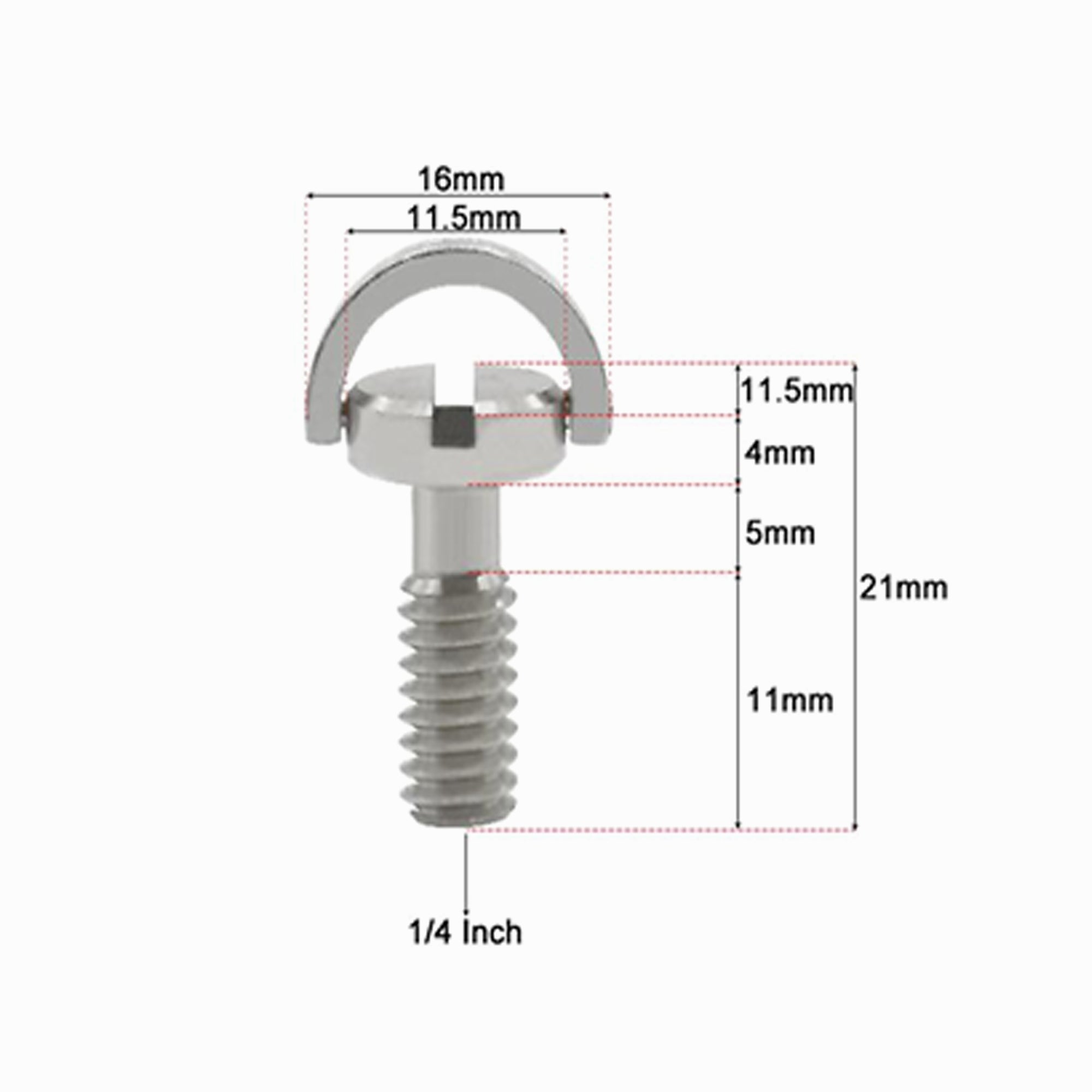 Camera Screw 1/4''  D-Ring DS011