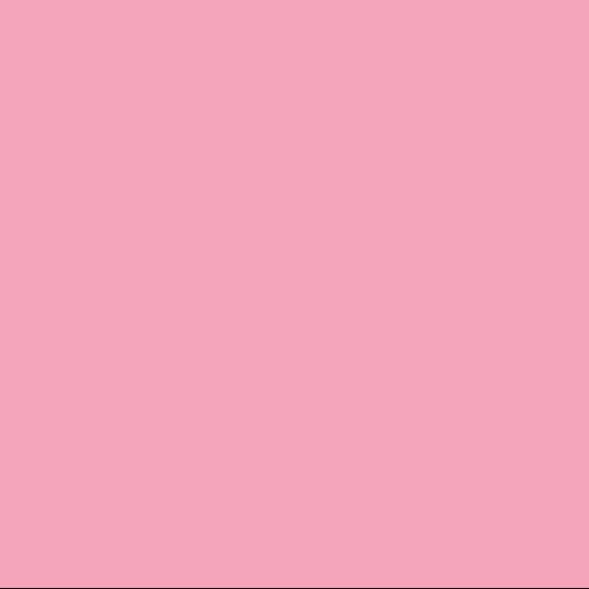 EMAILY#17 PINK SEAMLESS BACKGROUND PAPER(2.72M*10M)