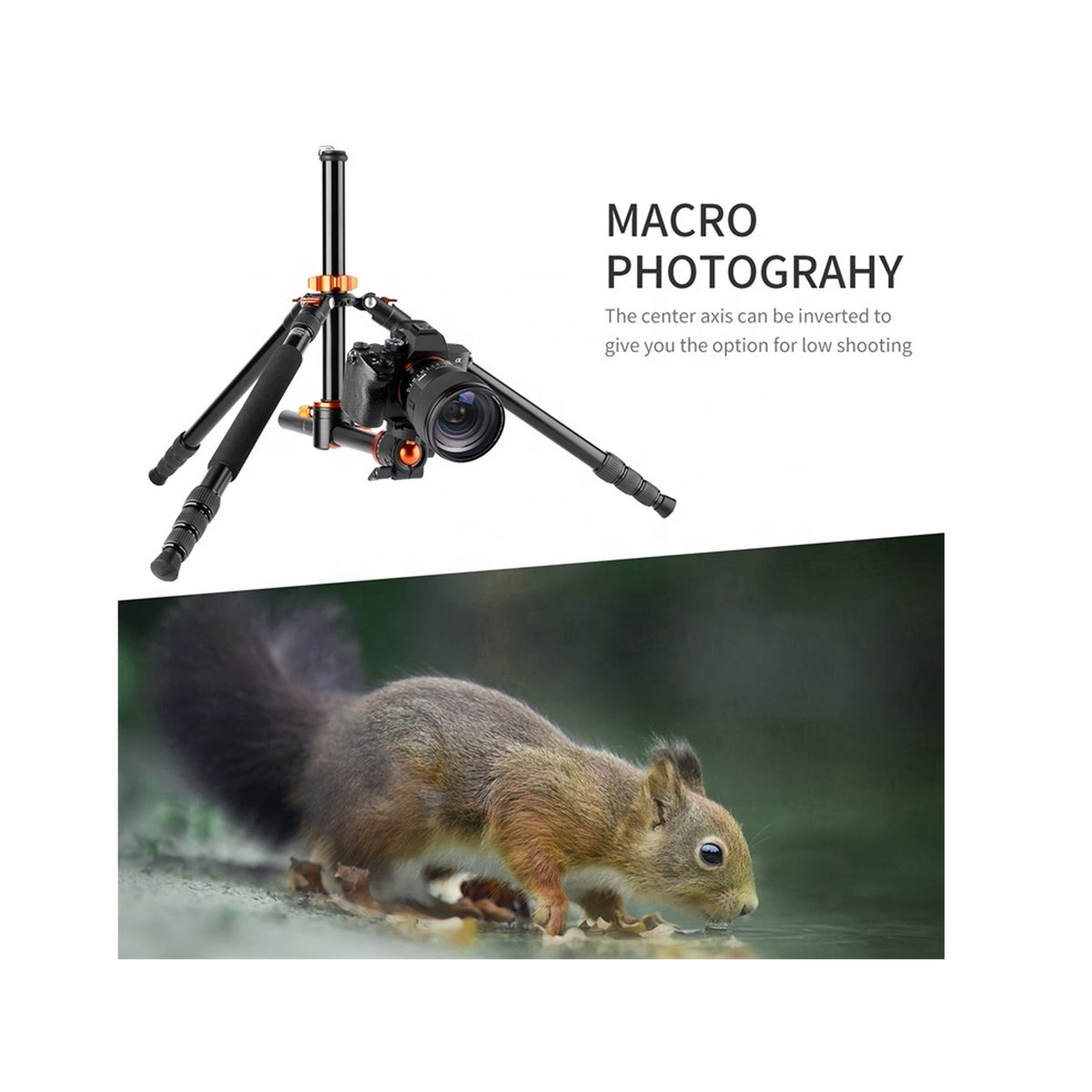 K&F TRIPOD TILT SA254T2(KF09.090V1)