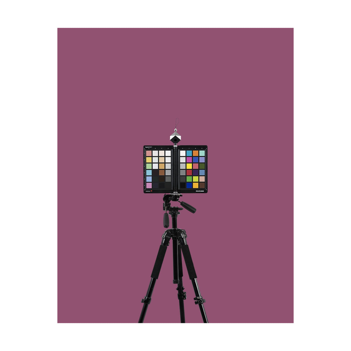 LENZCAM Dark Magenta Seamless Backdrop(2*72*11M)