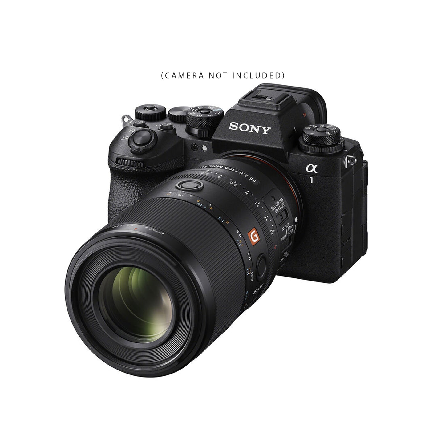 Sony FE 100mm f/2.8 Macro GM Lens (Sony E)