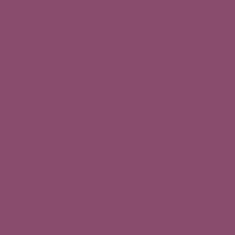 LENZCAM Dark Magenta Seamless Backdrop(2*72*11M)