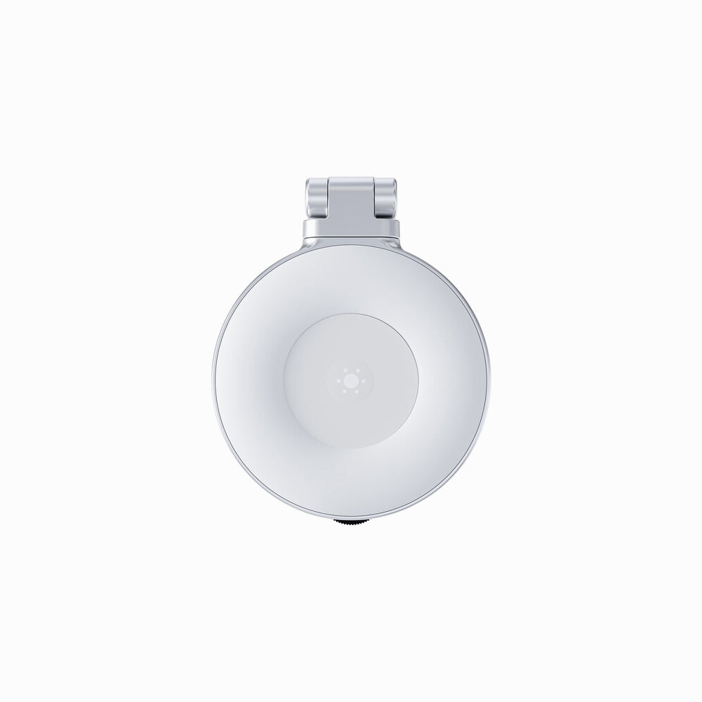 TELESIN Mobile phone beauty fill light (P5-BGD-04)