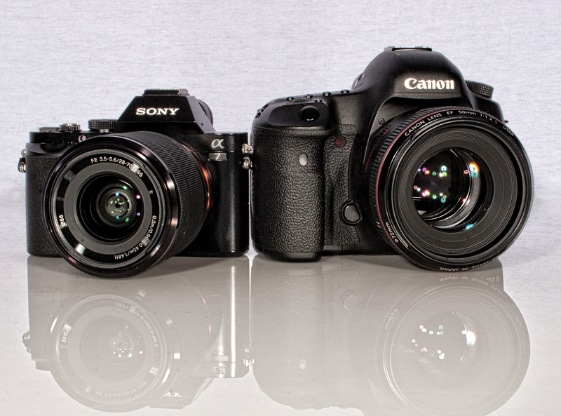 Autofocus Systems in DSLRs and Mirrorless Cameras