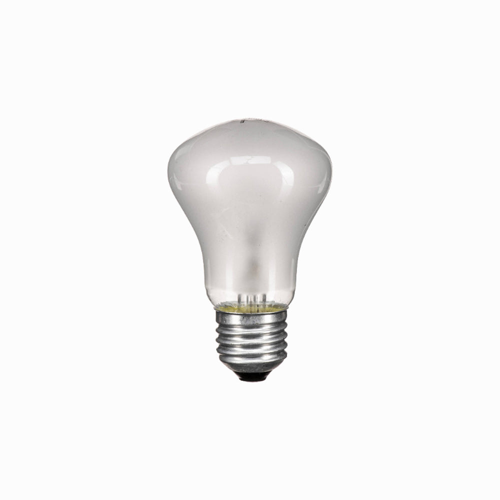 SIMPEX Studio Flash Bulb 100W