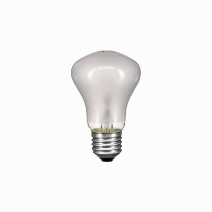 SIMPEX Studio Flash Bulb 100W