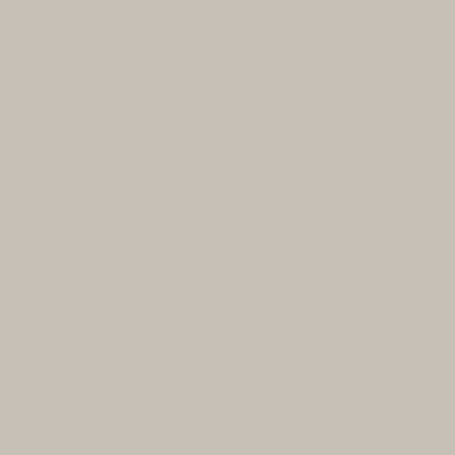 BD #153 Photographer's Gray Background Paper 2.72m x 11m
