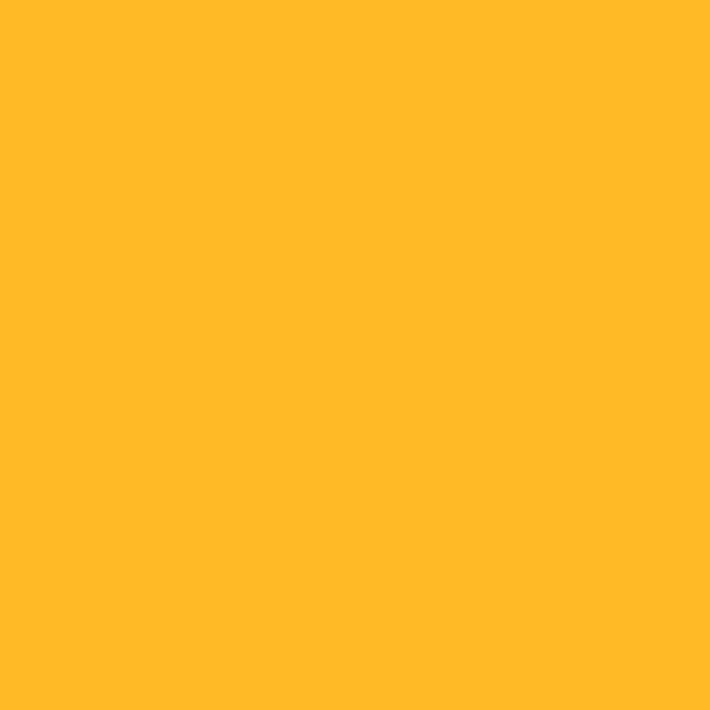 BD #169 Marigold Background Paper 2.72m x 11m