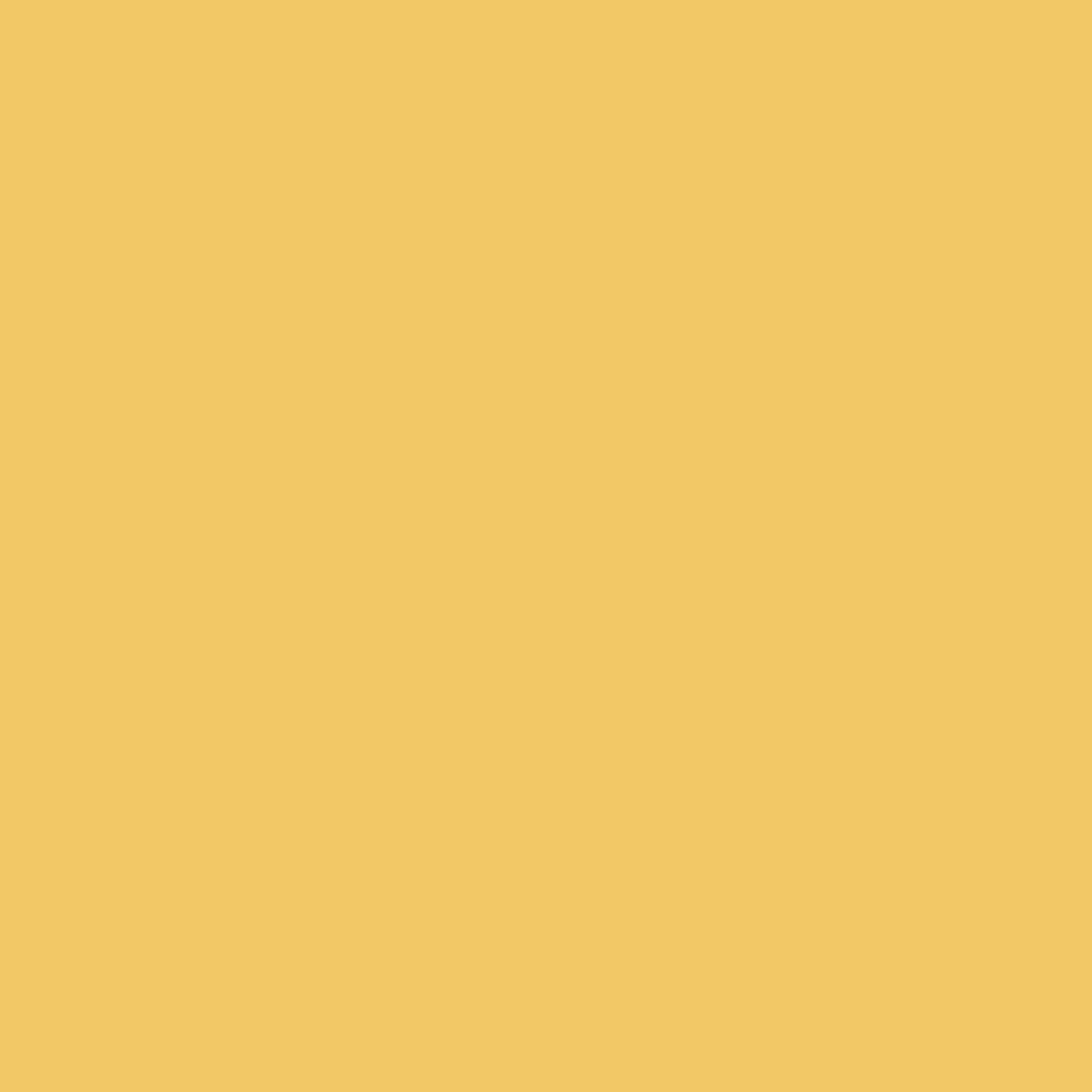 Emaily #18 Buff 2.72m x 10m Seamless Background Paper Roll