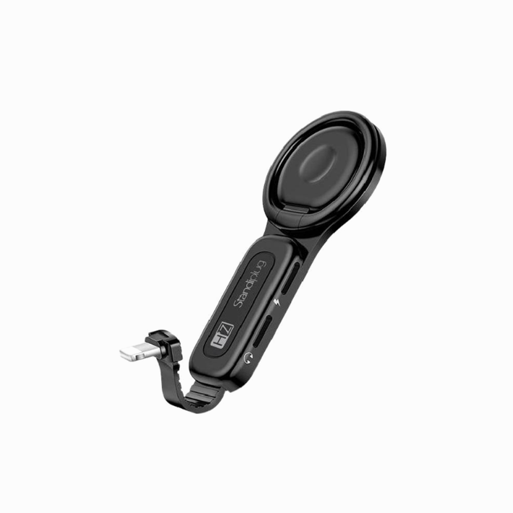 Heatz Standing Plug ZH79