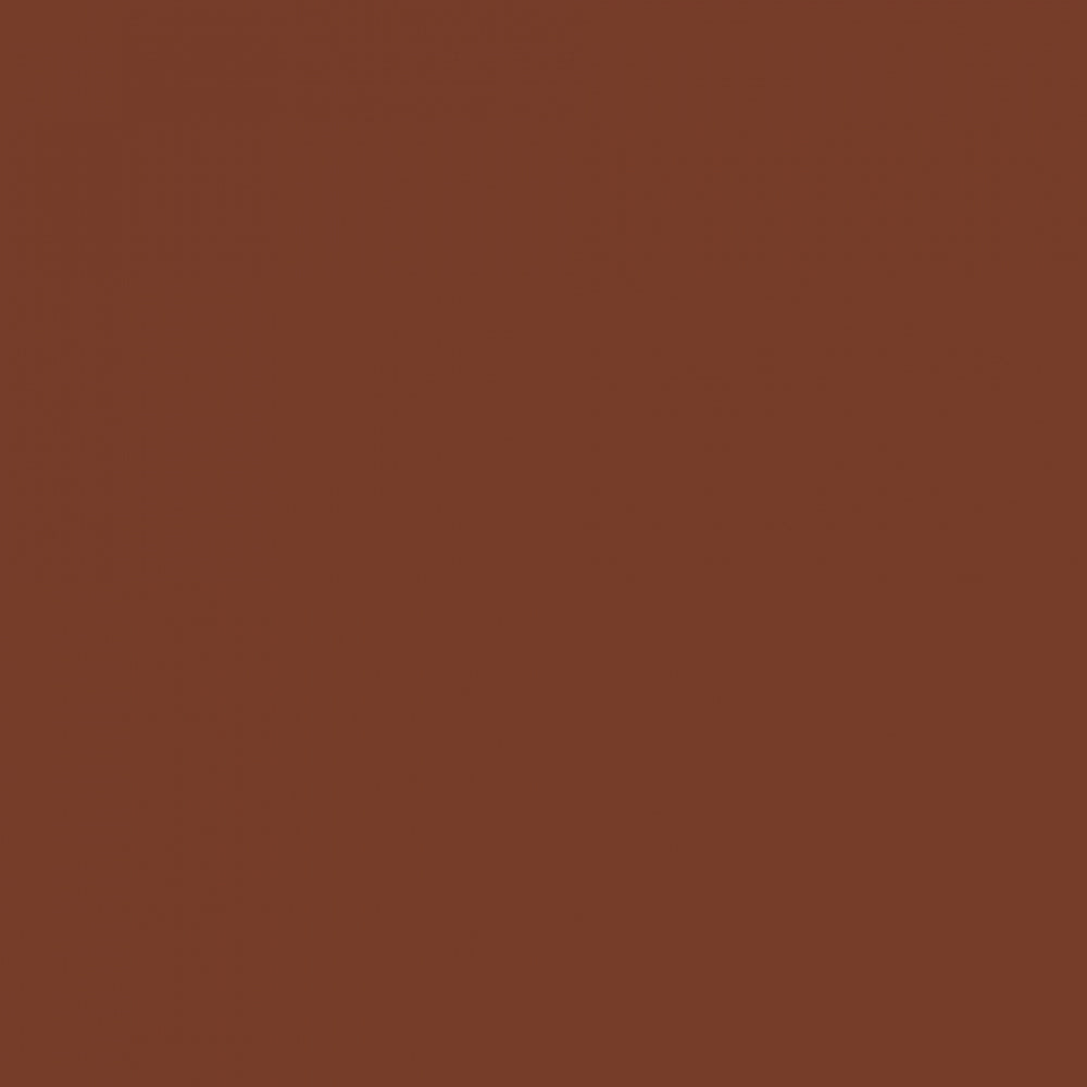 Emaily #20 Coco Brown 2.72m x 10m Seamless Background Paper Roll