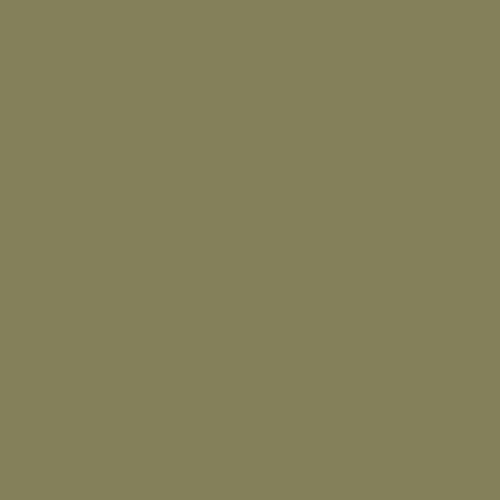 BD #234 Cactus Background Paper 2.72m x 11m
