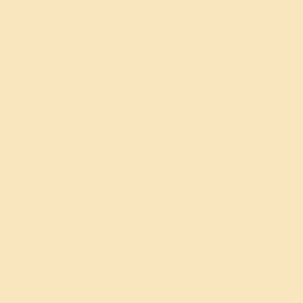 Emaily #65 Cream 2.72m x 10m Seamless Background Paper Roll
