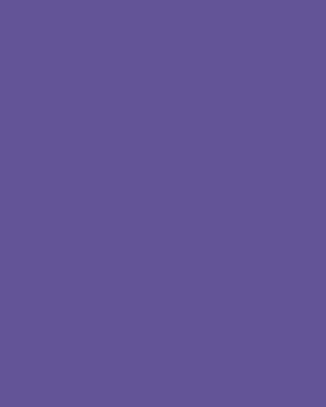 EMAILY #68 Deep Purple 2.72*10m SEAMLESS BACKGROUND PAPER