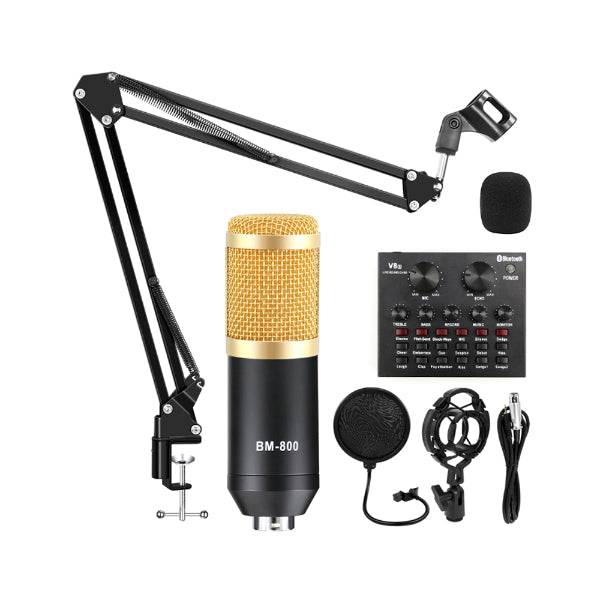 BM 800 CONDENSER MICROPHONE