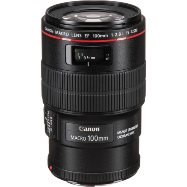 Buy Sigma 85mm f/1.4 DG HSM Art Lens for Canon EF Online Qatar Buy Sigma 85mm f/1.4 DG HSM Art Lens for Canon EF Online Qatar