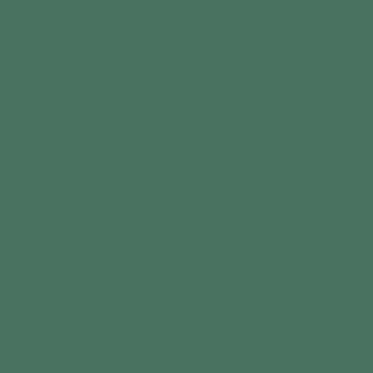 EMAILY #12 DEEP GREEN 2.72*10m SEAMLESS BACKGROUND PAPER