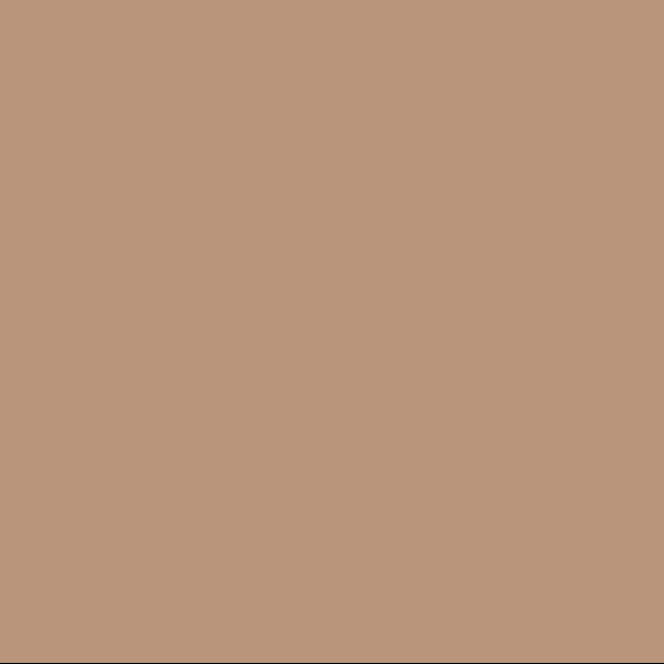 EMAILY #25 BEIGE 2.72X10m SEAMLESS BACKGROUND PAPER