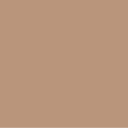 EMAILY #25 BEIGE 2.72X10m SEAMLESS BACKGROUND PAPER