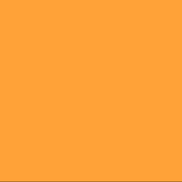 EMAILY #35 YELLOW ORANGE 2.72*10m SEAMLESS BACKGROUND PAPER