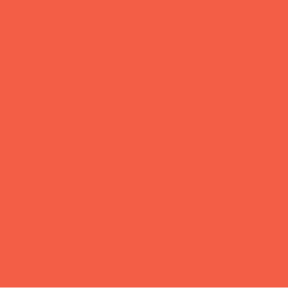 EMAILY #39 BRIGHT ORANGE 2.72*10m SEAMLESS BACKGROUND PAPER