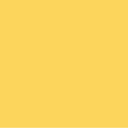 EMAILY #50 ASPEN 2.72*10m SEAMLESS BACKGROUND PAPER
