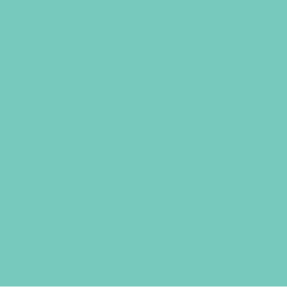 EMAILY #55 ALPINE 2.72*10m SEAMLESS BACKGROUND PAPER