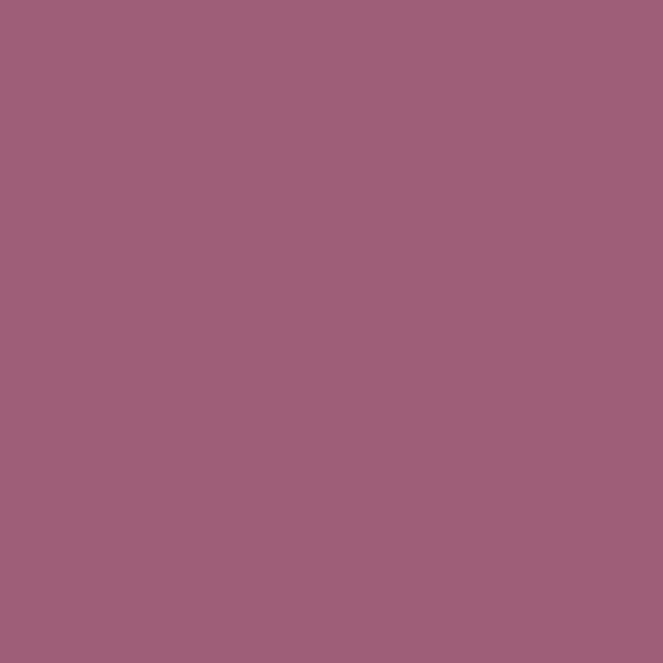 EMAILY#62 PLUM SEAMLESS PAPER(2.72X10)