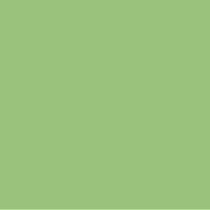 EMAILY #63 APPLE 2.72X10m SEAMLESS BACKGROUND PAPER