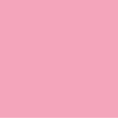 EMAILY#17 PINK SEAMLESS BACKGROUND PAPER(2.72M*10M)