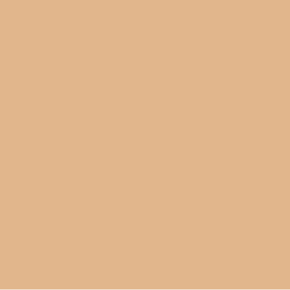 EMAILY #26 PONGEE SEAMLESS BACKGROUND PAPER (2.72X10M)