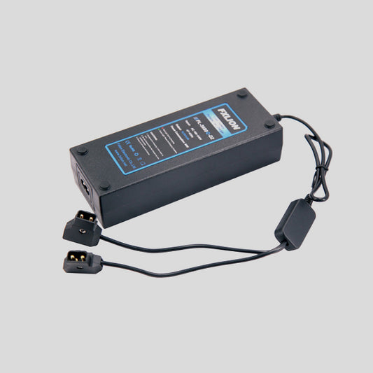 Fxlion Dual-Channel Fast Charger with D-Tap Cable