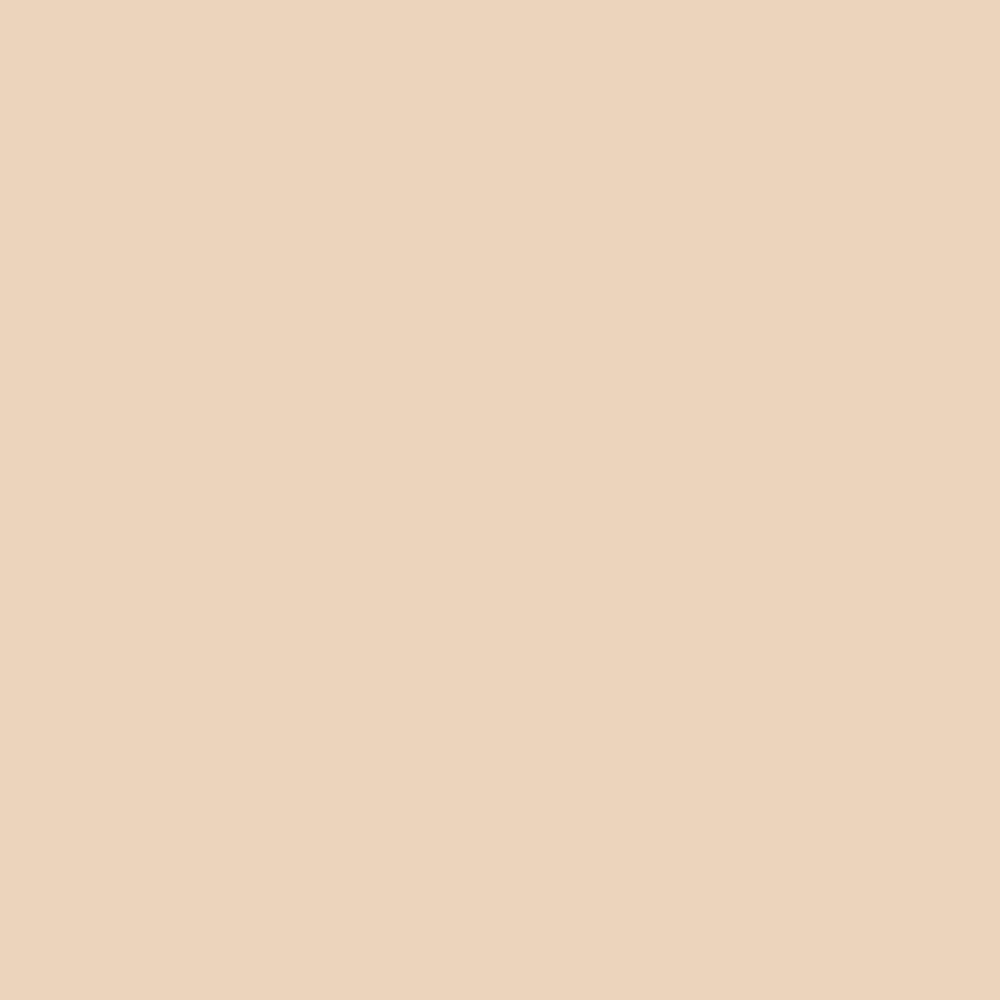 Emaily #33 Ivorine 2.72m x 10m Seamless Background Paper Roll