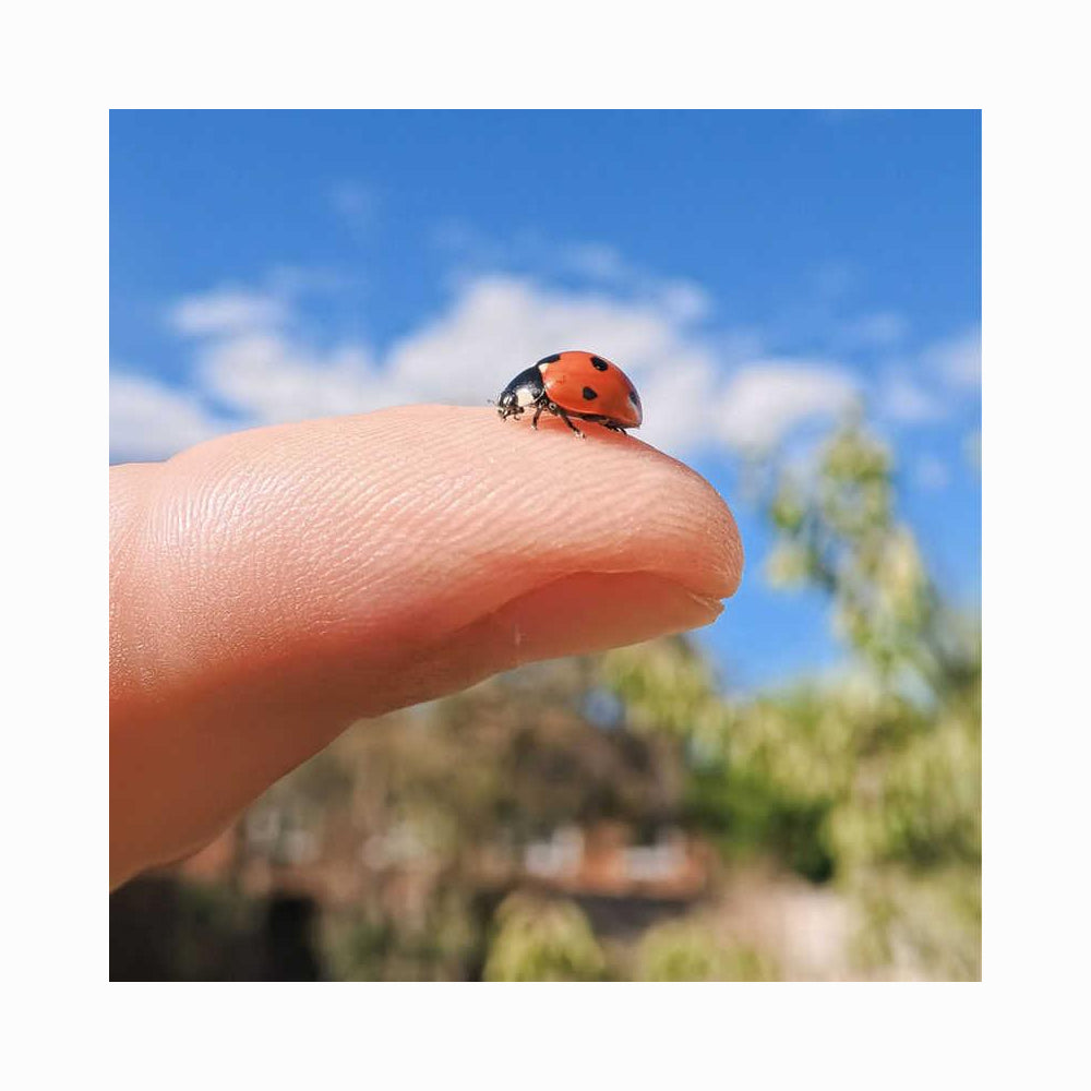 Insta360 GO Ultra Micro Lens