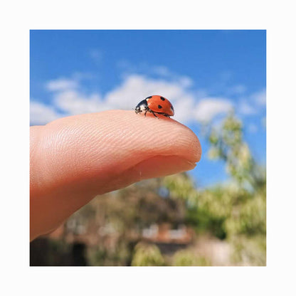 Insta360 GO Ultra Micro Lens