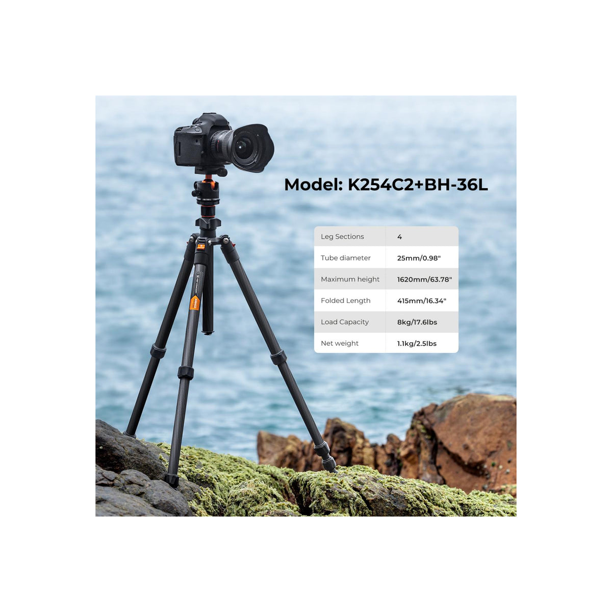 K&F Concept O254C2+BH-36 Carbon Fiber TRIPOD(KF09.123)