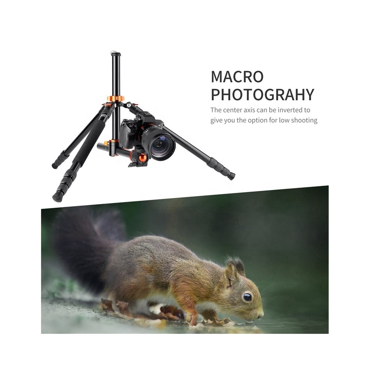 K&F TRIPOD TILT SA254T2(KF09.090V1)