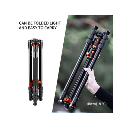 K&F TRIPOD TILT SA254T2(KF09.090V1)