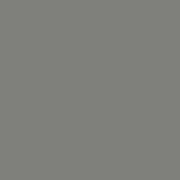 LENZCAM NEUTRAL GRAY(2*72*11M)SEAMLESS PAPER