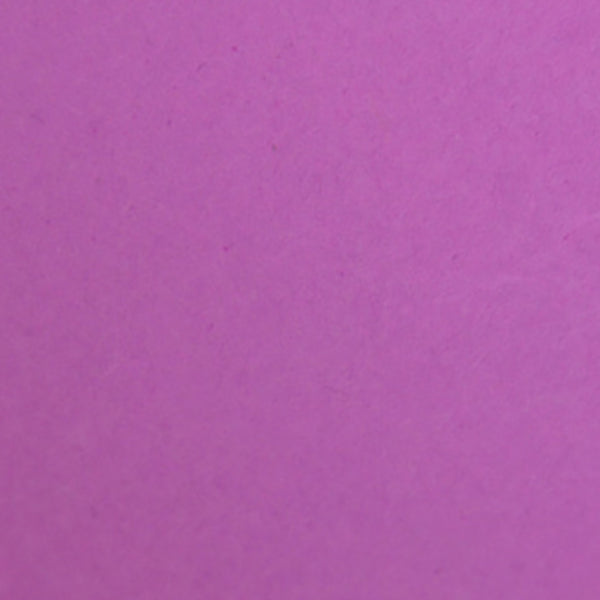 LENZCAM PLUM#91 3*11 M Seamless Background Paper