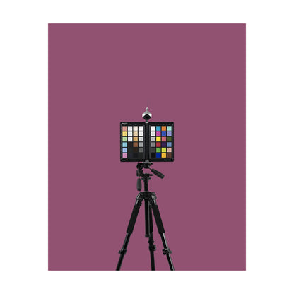 LENZCAM Dark Magenta Seamless Backdrop(2*72*11M)