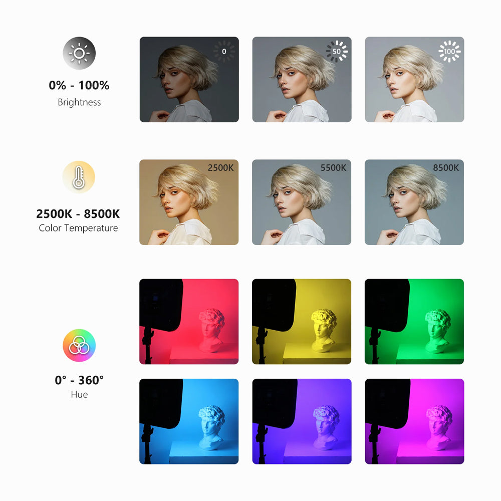 NEEWER 2 Pack RGB168 18.3 Inch LED Panel Video Light