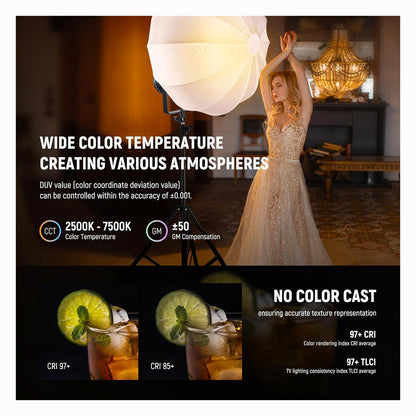 NEEWER CB300C 300W COB RGB LED Video Light