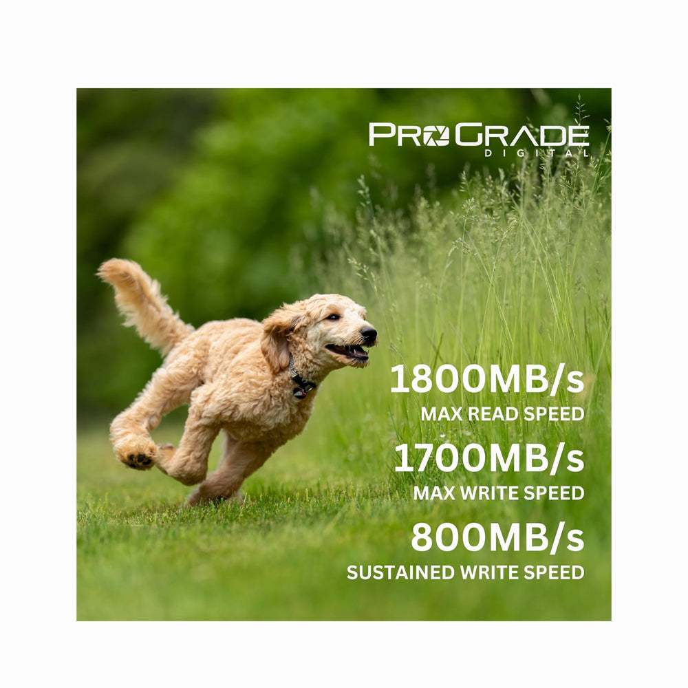 ProGrade Digital 480GB CFexpress 4.0 Type A Iridium Memory Card