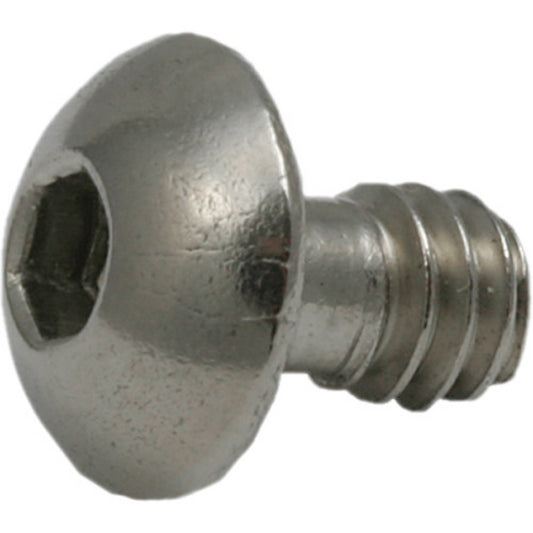 SCREW CAMERA (1/4" Lensplate Screw)