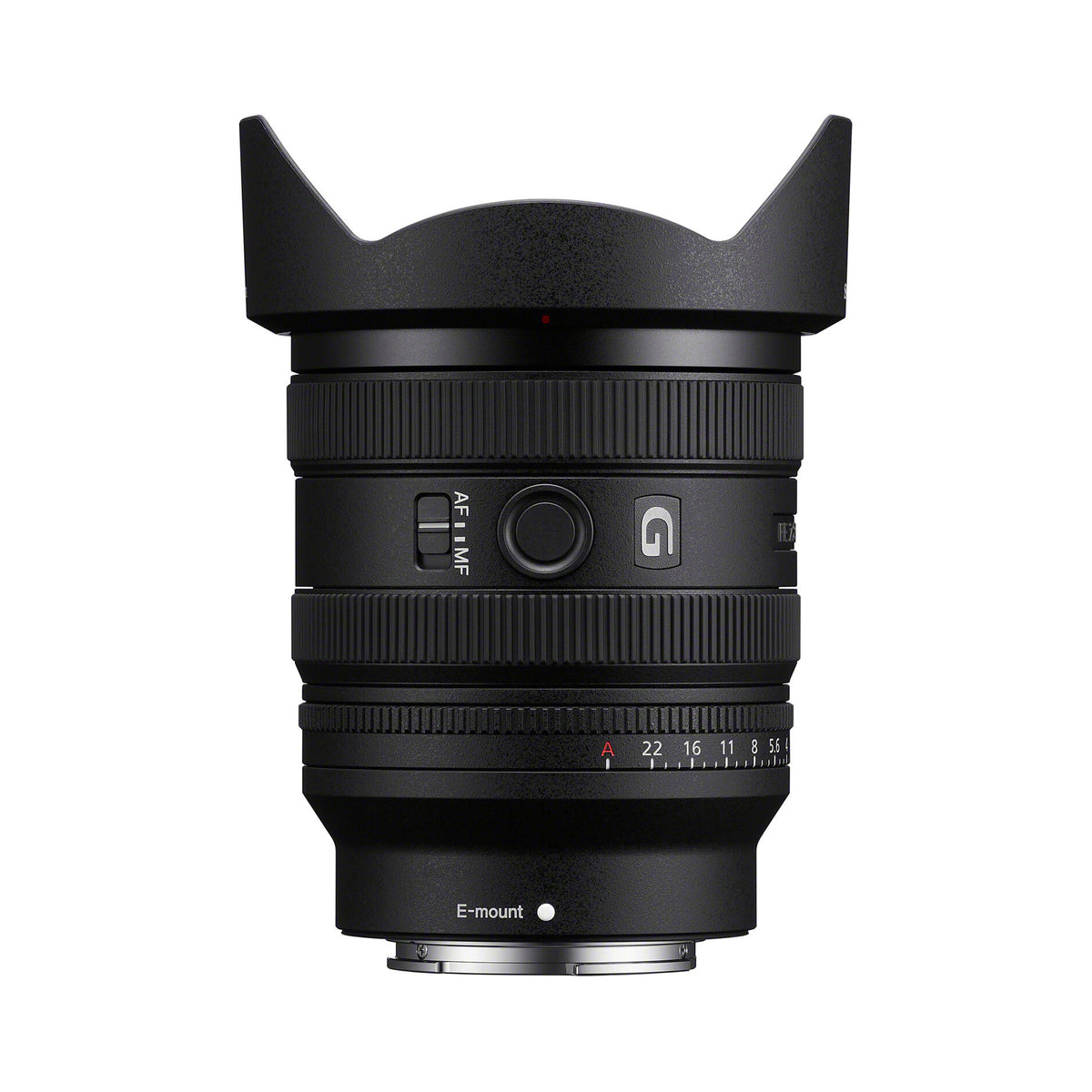 Sony FE 16-25mm f/2.8 G Lens (Sony E)