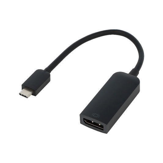 USB-C to DisplayPort Adapter