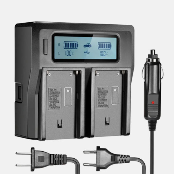 ZEGO NP FZ100 DUAL BATTERY CHARGER