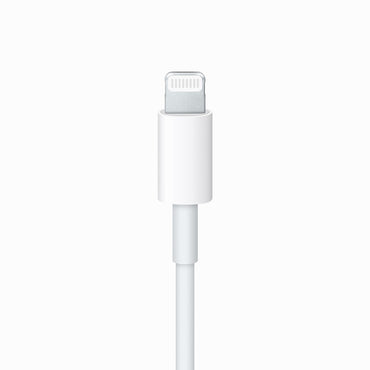 Apple USB-C To Lightning Cable (1M)